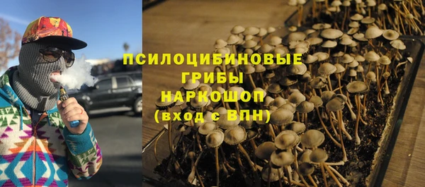 стаф Абдулино